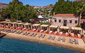 ดิแวน โบดรัม